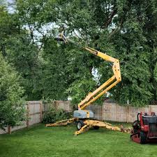 Best Firewood Processing and Delivery  in Brookmont, MD