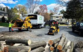 Best Soil Testing and Treatment  in Brookmont, MD